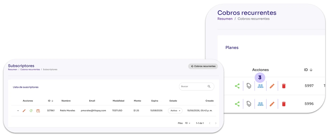 How do I view a subscriber's payments for each plan under Subscription Payments? — screen 113