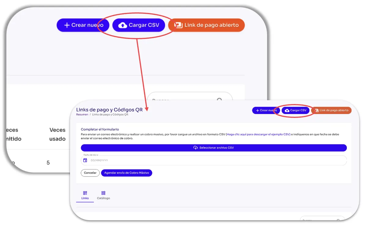 How do I create a Payment Link by importing a CSV file? — screen 85