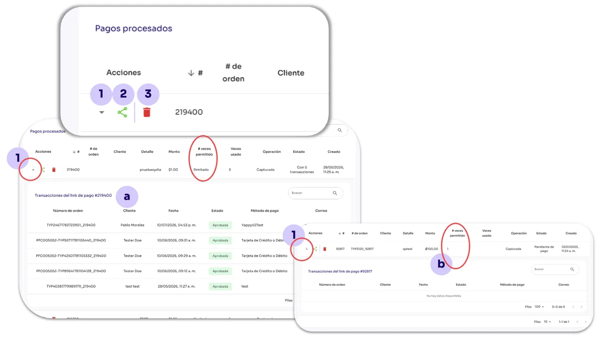 How do I delete a Payment Link? — screen 87